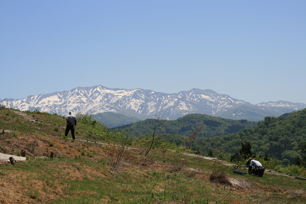 作業風景150514- (25).JPG