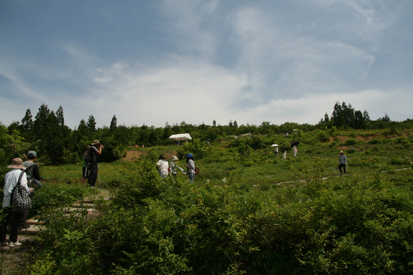 植物園２日目150614- (1).JPG