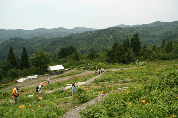 植物園1日目150613- (13).JPG