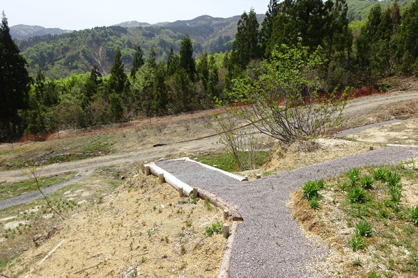 植物園20170508 (12).JPG